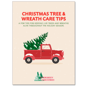 Wreath Care Tips